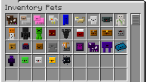inventory pets mod 2