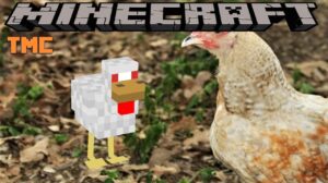 too many chickens mod logo